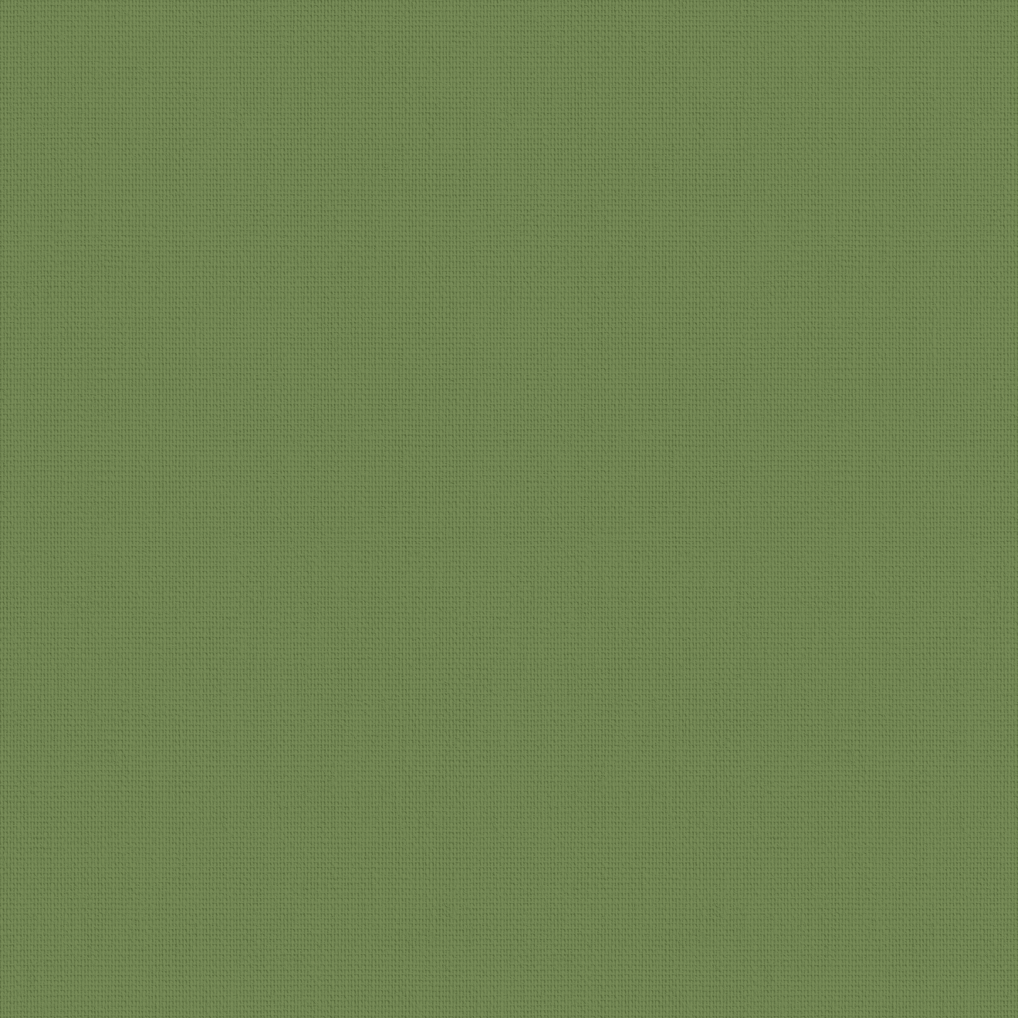 Arona Verde 2.4mt Roller